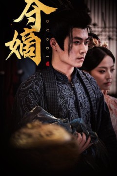 新：双姝&夺嫡