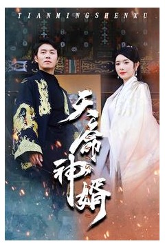 天命神婿