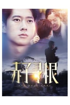 赤子寻根
