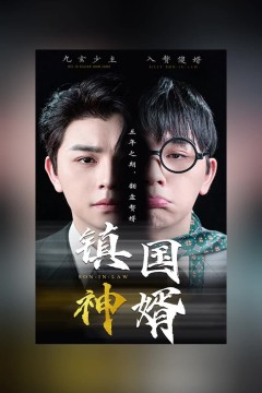 镇国神婿新版