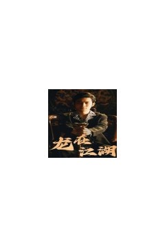 龙在江湖短剧版