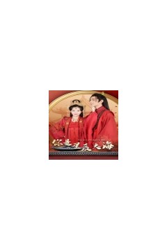 你是我的星辰