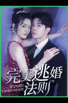 完美逃婚法则