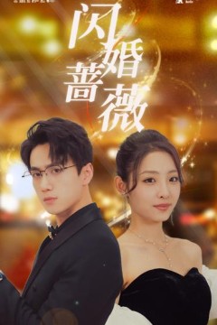 闪婚蔷薇