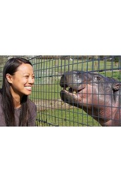 倭河马的秘密生活