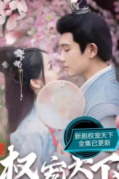 权宠天下