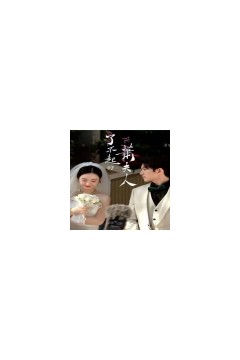 了不起的萧夫人
