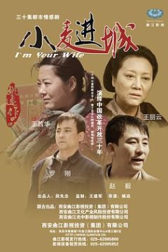 小麦进城