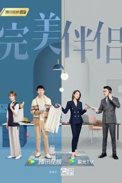 完美伴侣