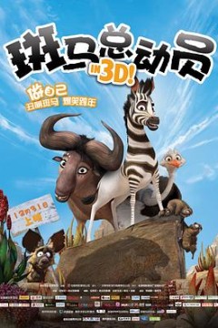 斑马总动员