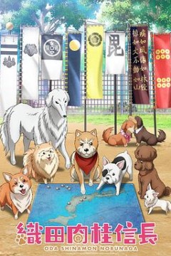 织田肉桂信长
