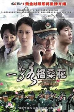 一路格桑花
