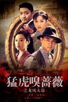 猛虎嗅蔷薇之龙凤大盗