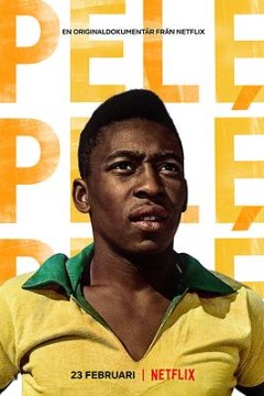 球王贝利：巴西足球传奇