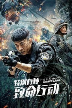 特别有种：致命行动