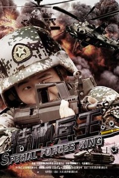 特种兵王