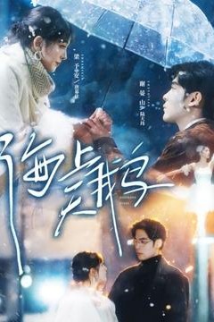 海上天鹅