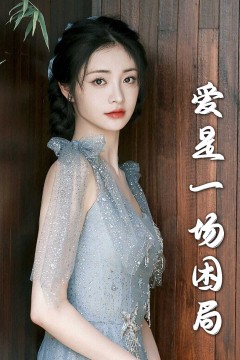 爱是一场困局2