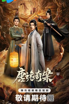 唐诡奇案