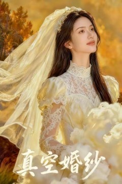 真空婚纱