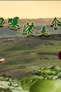 吐口唾沫是个钉