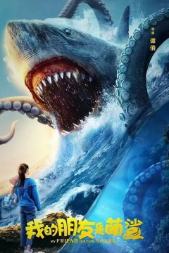 我的朋友是萌鲨