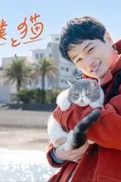 旅行和我和猫