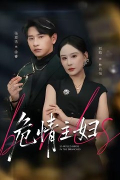 危情主妇