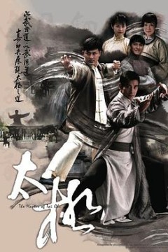 太极国语版