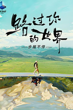路过你的世界·步履不停
