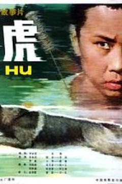 赛虎