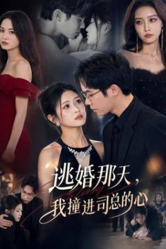 逃婚那天，我撞进司总的心