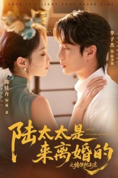陆太太是来离婚的之慵便枕玉凉