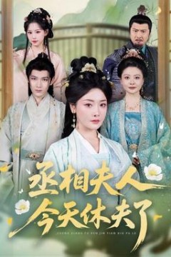 丞相夫人，今天休夫了