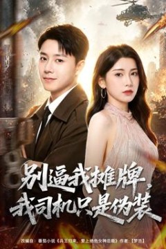 别逼我摊牌，我司机只是伪装