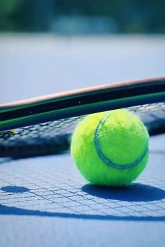 WTA1000多伦多站女单第二轮：萨巴伦卡VS内岛萌夏