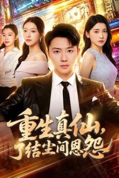 重生真仙，了结尘间恩怨