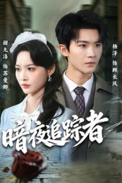 暗夜追踪者