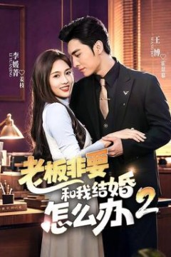 老板非要和我结婚怎么办第二季