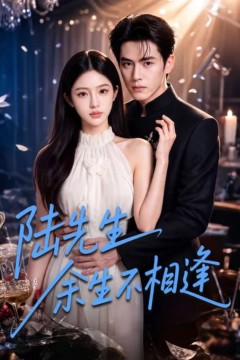 陆先生余生不相逢