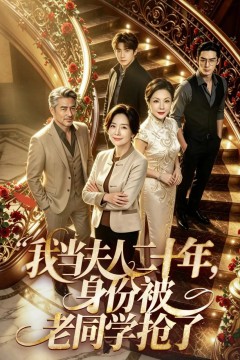 我当夫人二十年，身份被老同学抢了