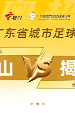 广东省城市足球超级联赛八强附加赛(第二回合)全场回放：佛山vs揭阳