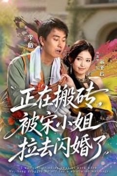 正在搬砖，被宋小姐拉去闪婚了