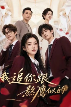 我追你跟熬鹰似的