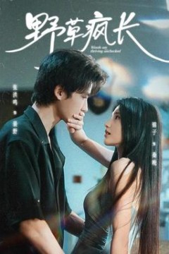 野草疯长2026