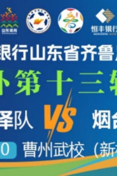 2026山东省齐鲁足球超级联赛第13轮全场回放：菏泽队vs烟台队