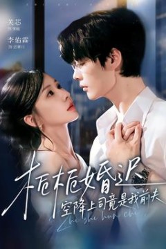 栀栀婚迟，空降上司竟是我前夫
