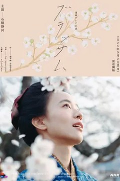 花朵盛开