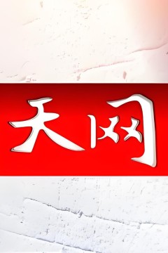 天网