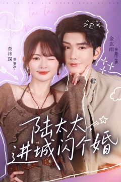 陆太太,进城闪个婚